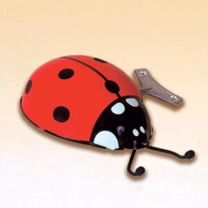 Sluníčko sedmitečné na klíček