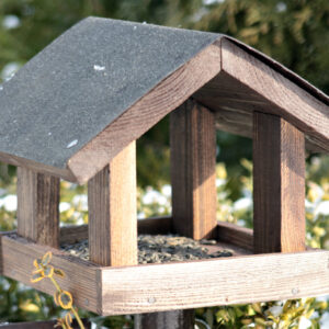 Sestav si krmítko pro ptáčky